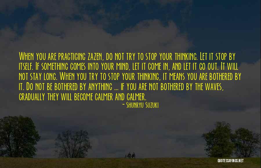 Zelideth Padilla Quotes By Shunryu Suzuki Zelideth Padilla Quotes By Shunryu Suzuki