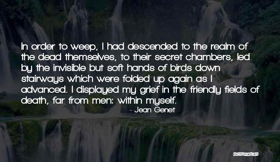 Zellwegers First Name Quotes By Jean Genet Zellwegers First Name Quotes By Jean Genet