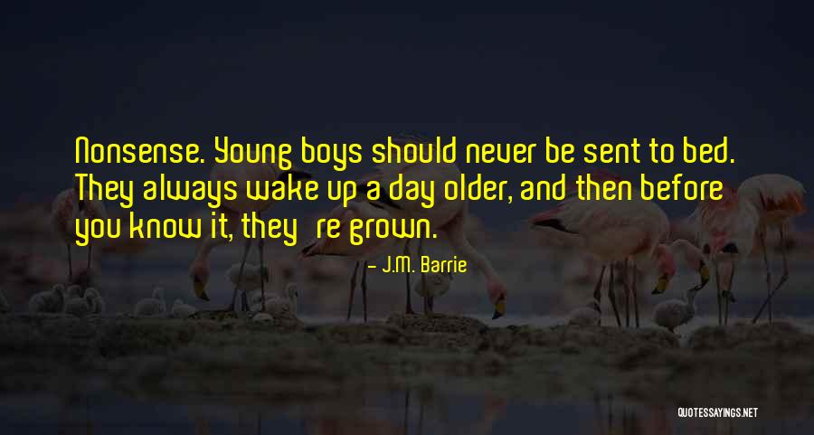 Zelmani Quotes By J.M. Barrie Zelmani Quotes By J.M. Barrie