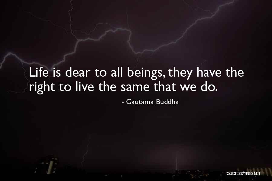 Zemljic Konrad Quotes By Gautama Buddha Zemljic Konrad Quotes By Gautama Buddha