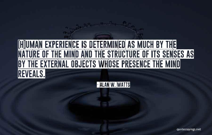 Zen Buddhism Quotes By Alan W. Watts Zen Buddhism Quotes By Alan W. Watts