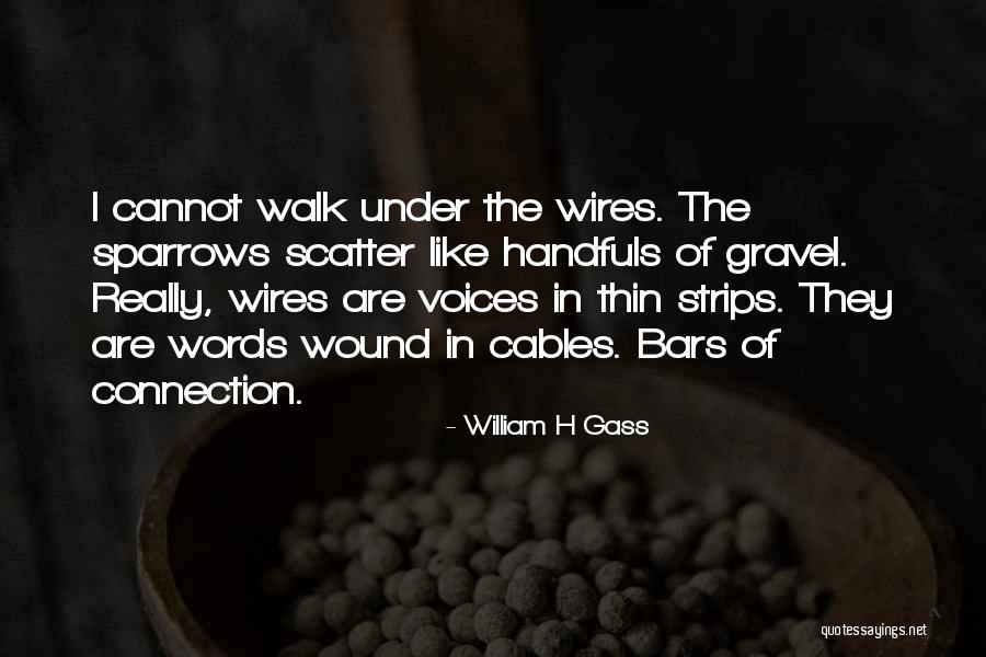 Zen Like Gardens Quotes By William H Gass Zen Like Gardens Quotes By William H Gass