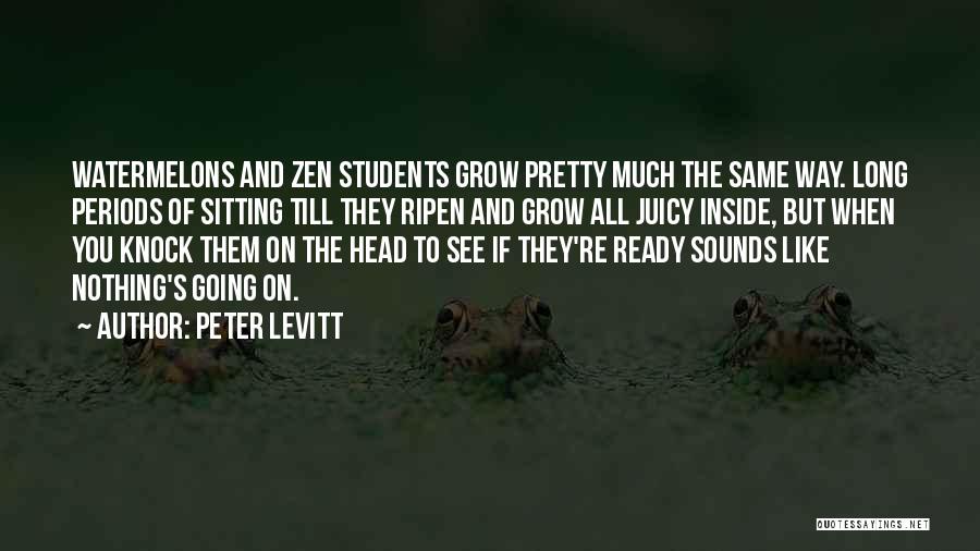 Zen Like Quotes By Peter Levitt