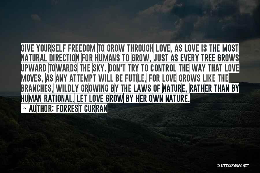 Zen Nature Quotes By Forrest Curran