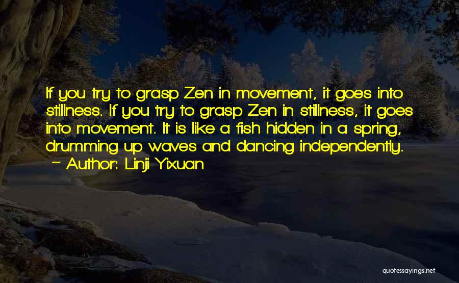 Zen Stillness Quotes By Linji Yixuan