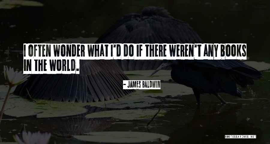 Zenaida Cellars Quotes By James Baldwin Zenaida Cellars Quotes By James Baldwin