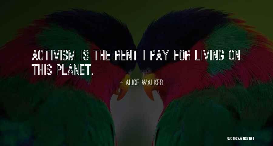 Zenaida Macroura Quotes By Alice Walker Zenaida Macroura Quotes By Alice Walker