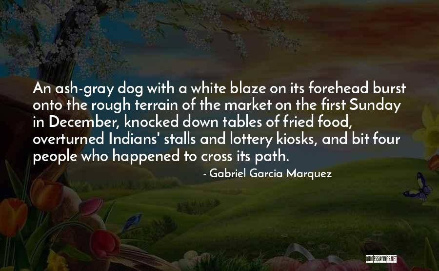 Zenati Edri Quotes By Gabriel Garcia Marquez