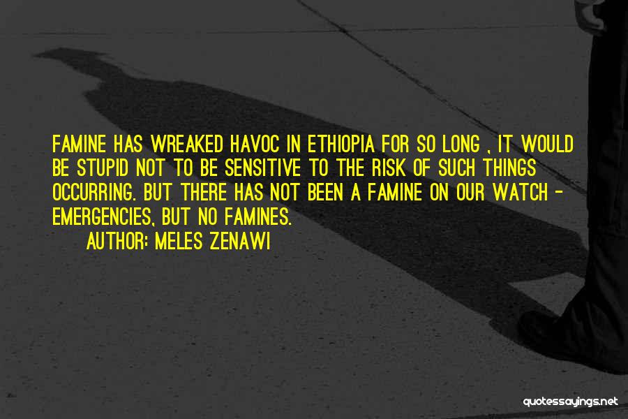 Zenawi Quotes By Meles Zenawi