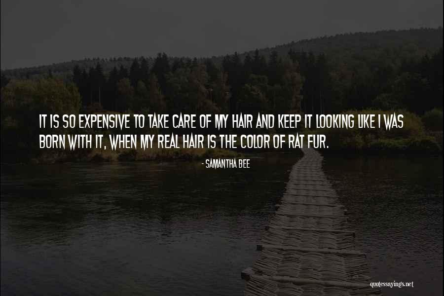 Zendee Tenerife Quotes By Samantha Bee Zendee Tenerife Quotes By Samantha Bee