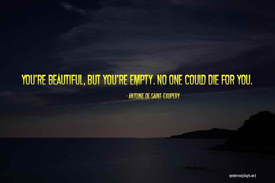 Zenina Riba Quotes By Antoine De Saint-Exupery Zenina Riba Quotes By Antoine De Saint-Exupery