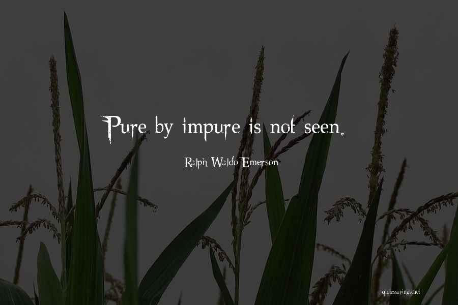 Zenius I Vanisher Quotes By Ralph Waldo Emerson