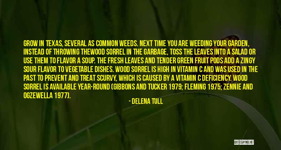 Zennie Quotes By Delena Tull Zennie Quotes By Delena Tull