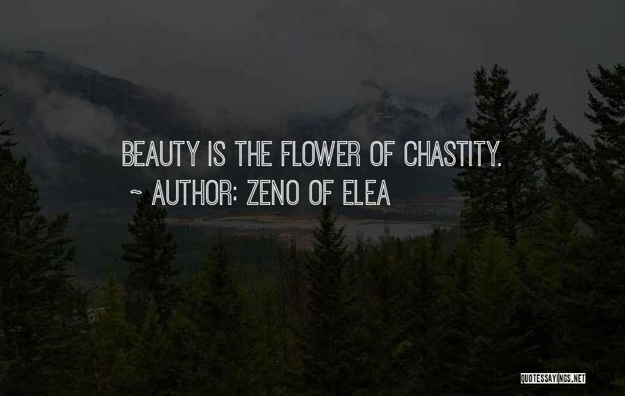 Zeno Of Elea Quotes 716470