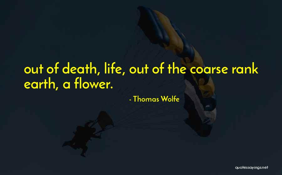 Zenobia Quotes By Thomas Wolfe Zenobia Quotes By Thomas Wolfe