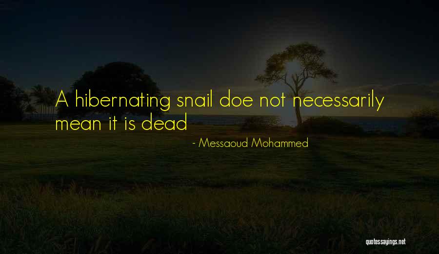 Zenska Odela Quotes By Messaoud Mohammed Zenska Odela Quotes By Messaoud Mohammed