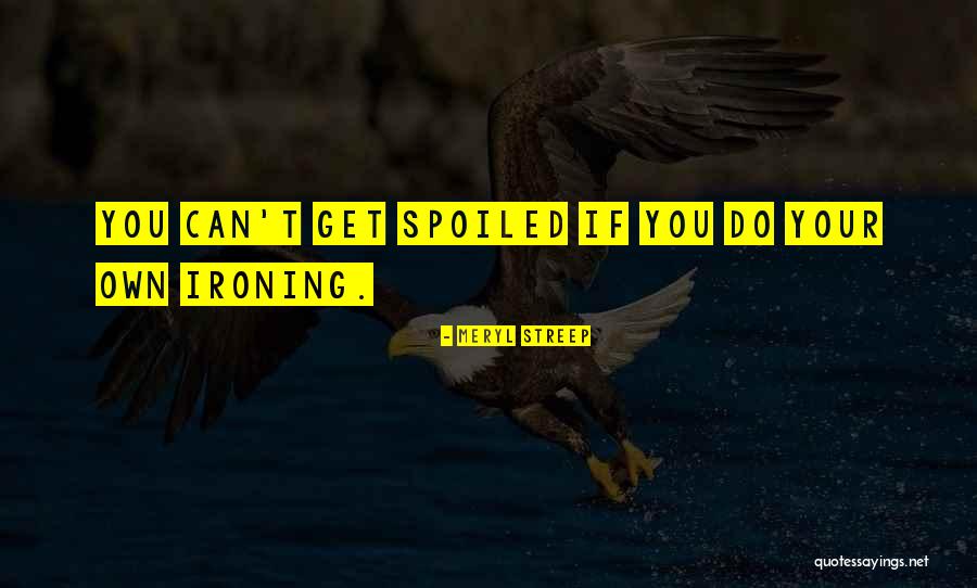 Zenuwen Been Quotes By Meryl Streep
