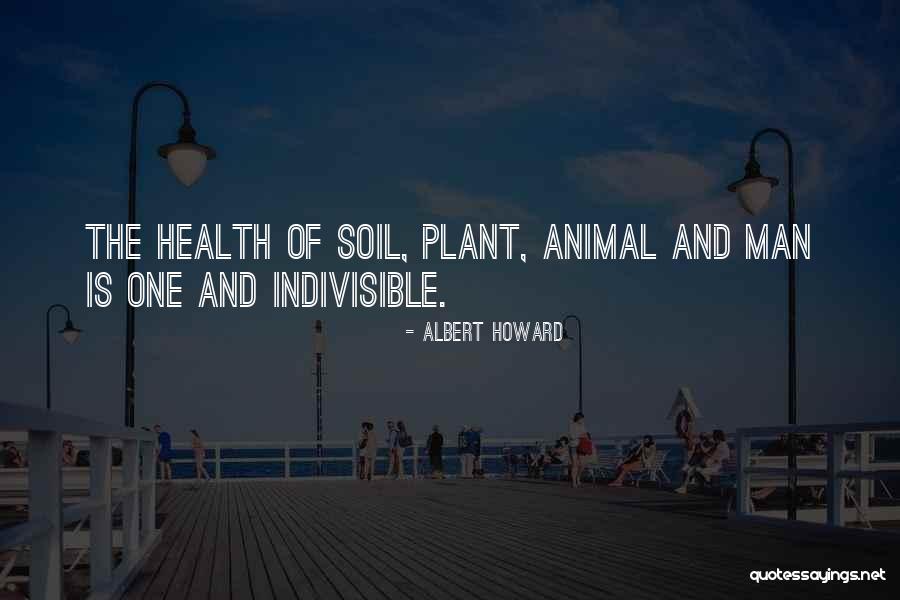 Zenzero In English Quotes By Albert Howard Zenzero In English Quotes By Albert Howard