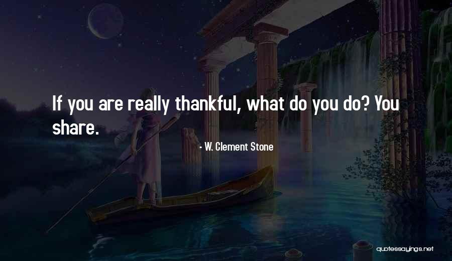 Zeolite Clinoptilolite Quotes By W. Clement Stone