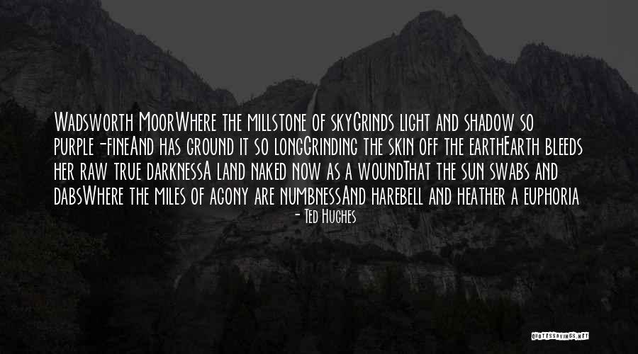 Zephiran Quotes By Ted Hughes Zephiran Quotes By Ted Hughes