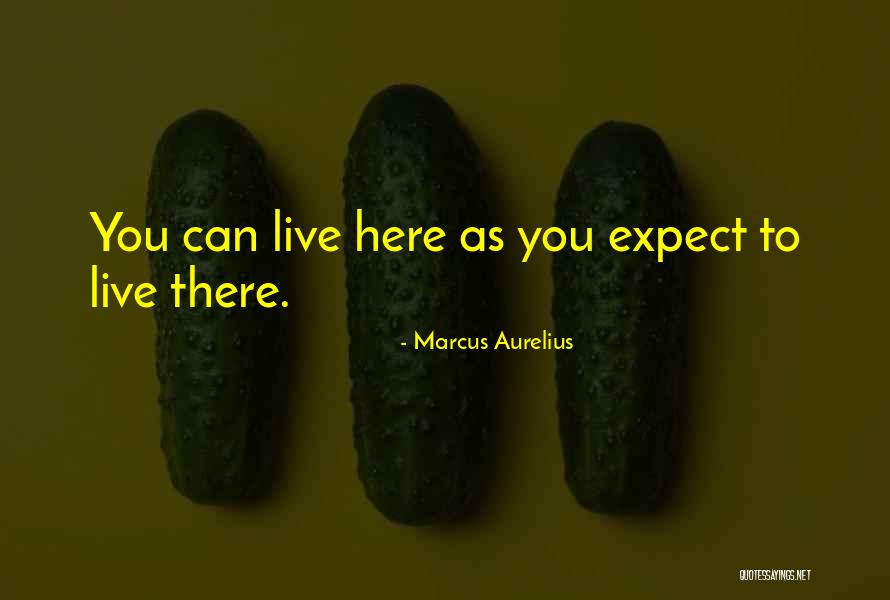 Zephyrus In Myth Quotes By Marcus Aurelius Zephyrus In Myth Quotes By Marcus Aurelius