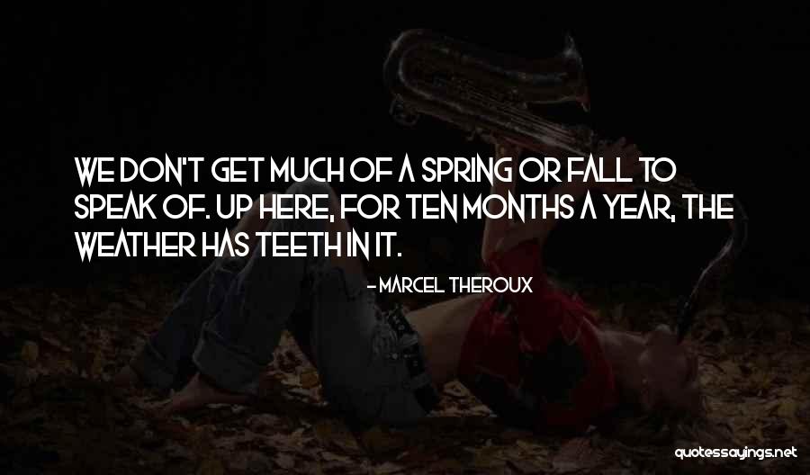 Zerbini Personalizzati Quotes By Marcel Theroux Zerbini Personalizzati Quotes By Marcel Theroux