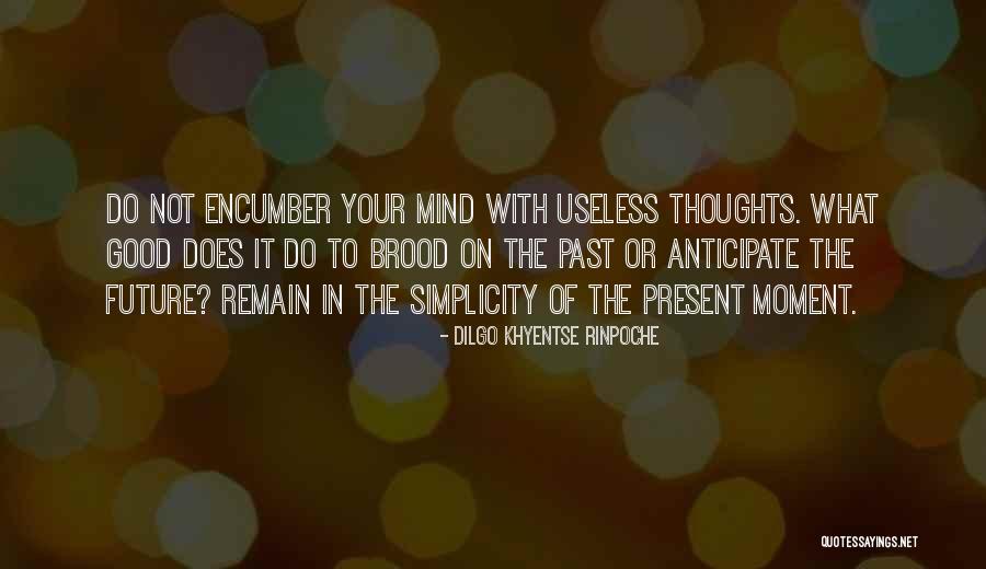 Zerfallsreihen Quotes By Dilgo Khyentse Rinpoche Zerfallsreihen Quotes By Dilgo Khyentse Rinpoche
