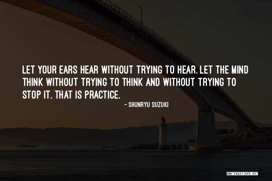 Zeric Heinrich Quotes By Shunryu Suzuki Zeric Heinrich Quotes By Shunryu Suzuki