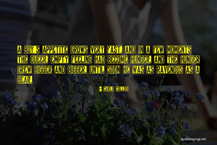 Zerkall Quotes By Carlo Collodi Zerkall Quotes By Carlo Collodi