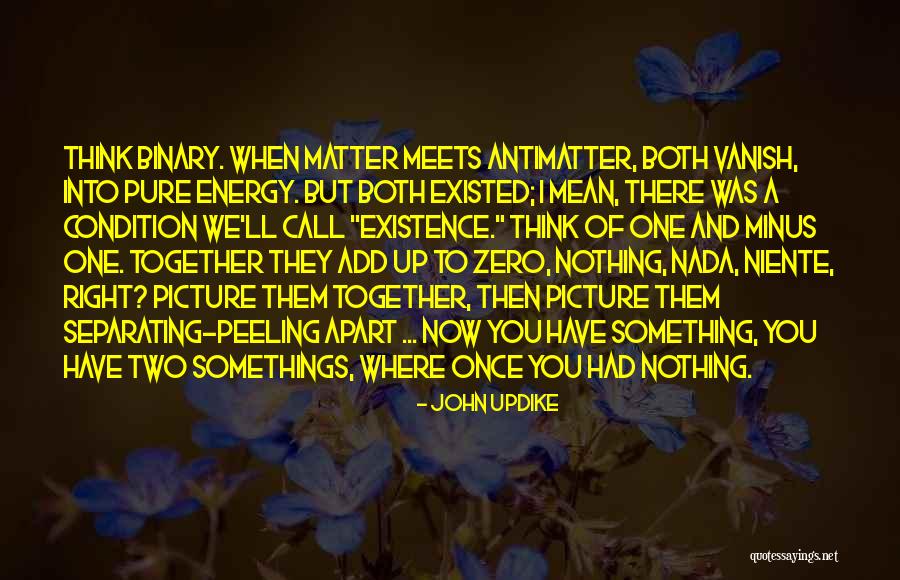 Zero Energy Quotes By John Updike Zero Energy Quotes By John Updike