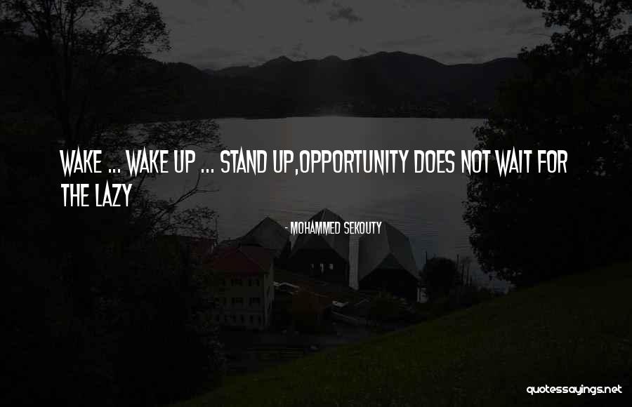 Zero No Tsukaima Quotes By Mohammed Sekouty Zero No Tsukaima Quotes By Mohammed Sekouty