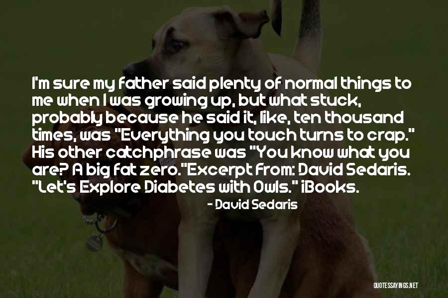 Zero Touch Quotes By David Sedaris Zero Touch Quotes By David Sedaris