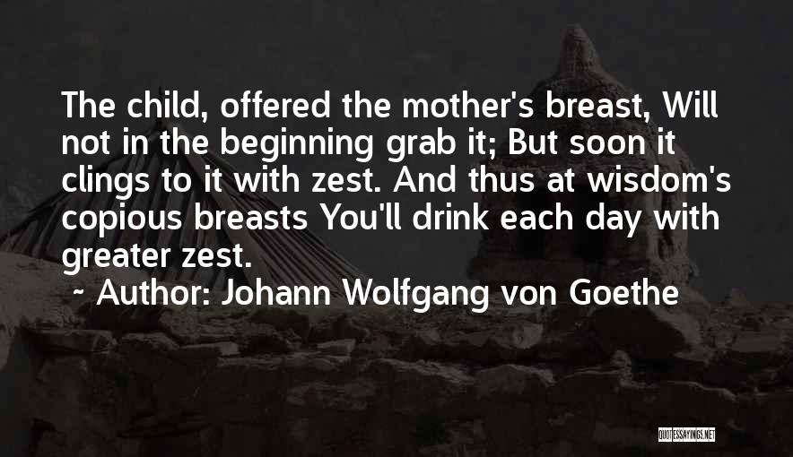 Zest Quotes By Johann Wolfgang Von Goethe