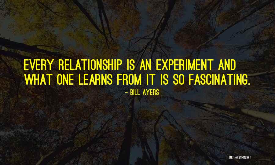 Zeugen In English Quotes By Bill Ayers