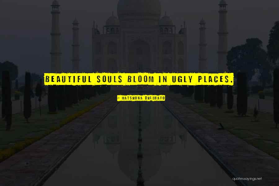 Zeul Soarelui Quotes By Matshona Dhliwayo Zeul Soarelui Quotes By Matshona Dhliwayo