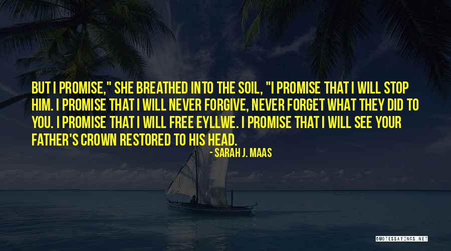 Zevkisefam Quotes By Sarah J. Maas Zevkisefam Quotes By Sarah J. Maas