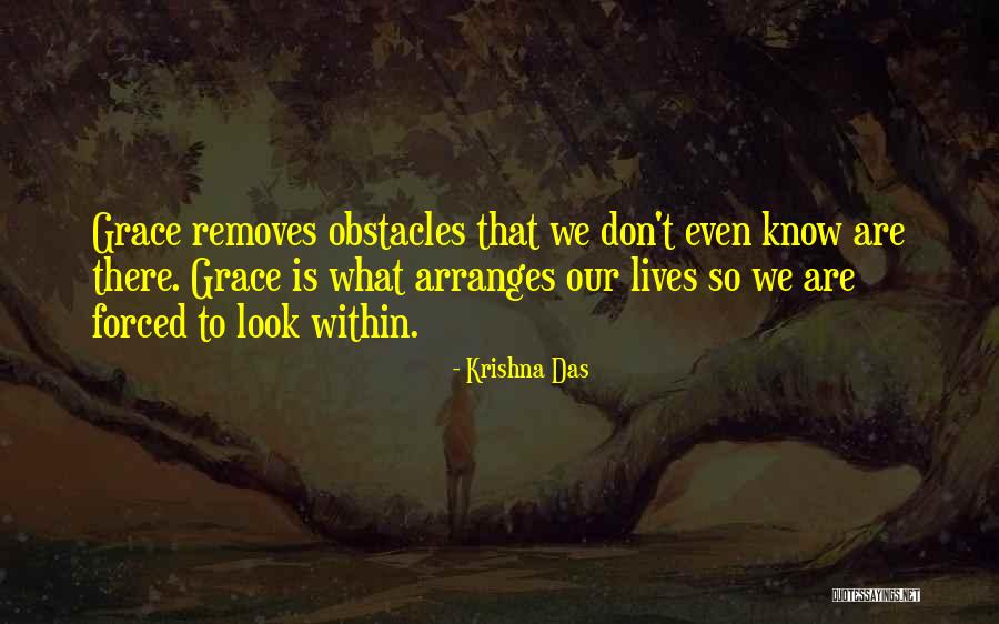 Zeynel Bey Quotes By Krishna Das Zeynel Bey Quotes By Krishna Das