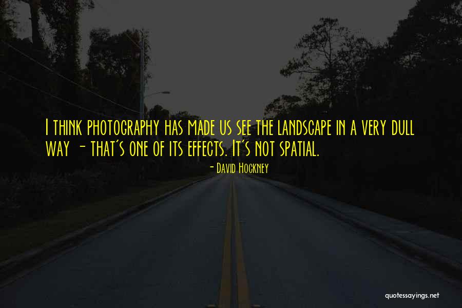 Zgredek Quotes By David Hockney Zgredek Quotes By David Hockney