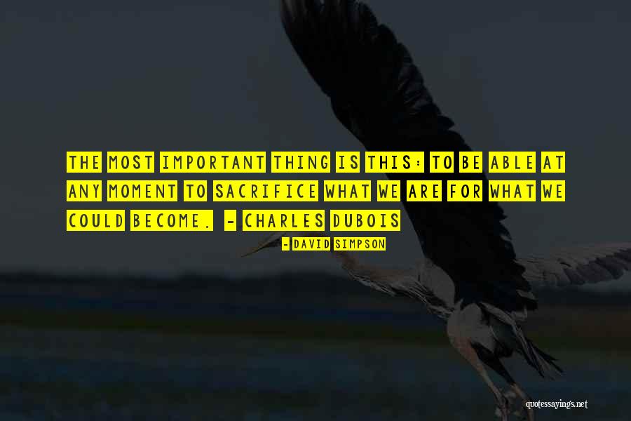 Zgrusavanje Quotes By David Simpson