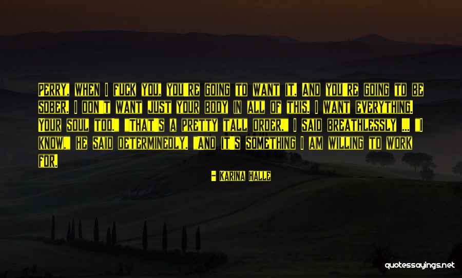 Zgrusavanje Quotes By Karina Halle