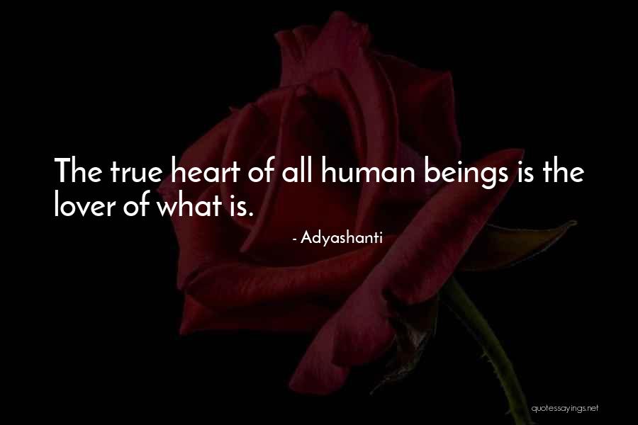 Zhaklina Cvetkovski Quotes By Adyashanti Zhaklina Cvetkovski Quotes By Adyashanti