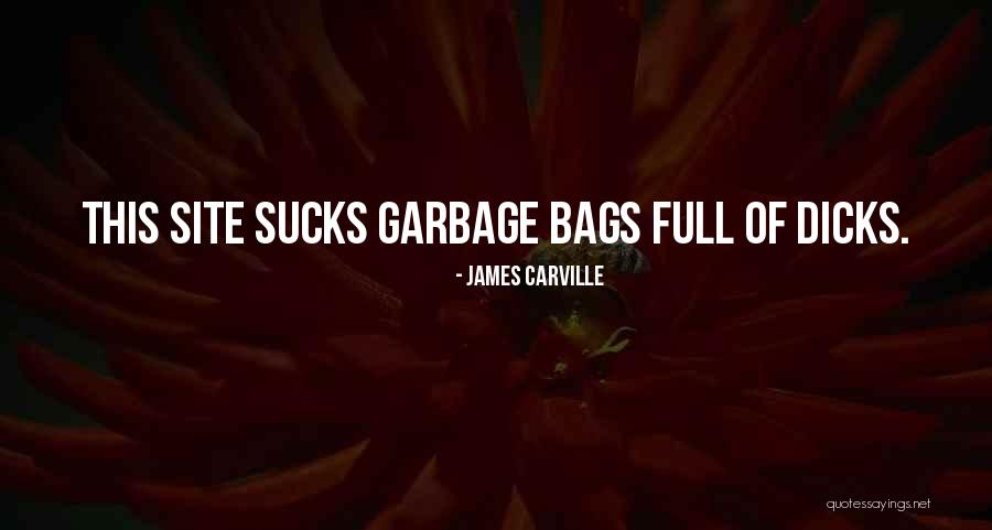 Zhaklina Peto Quotes By James Carville Zhaklina Peto Quotes By James Carville