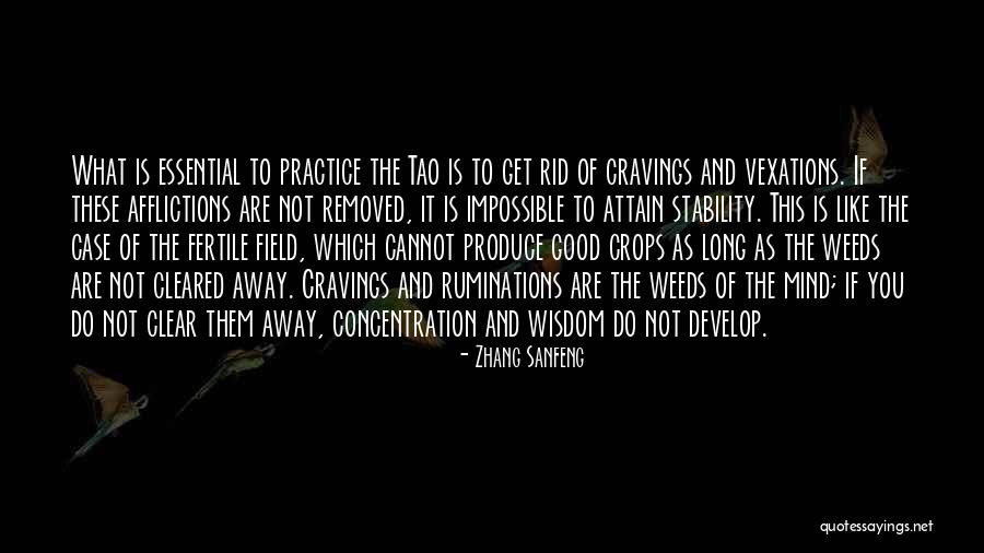 Zhang Sanfeng Quotes 1990950 Zhang Sanfeng Quotes 1990950