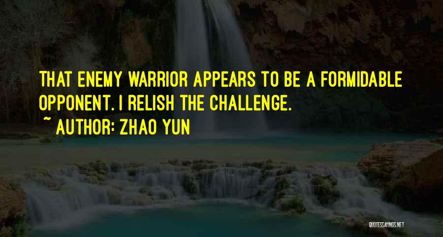 Zhao Yun Quotes 915276