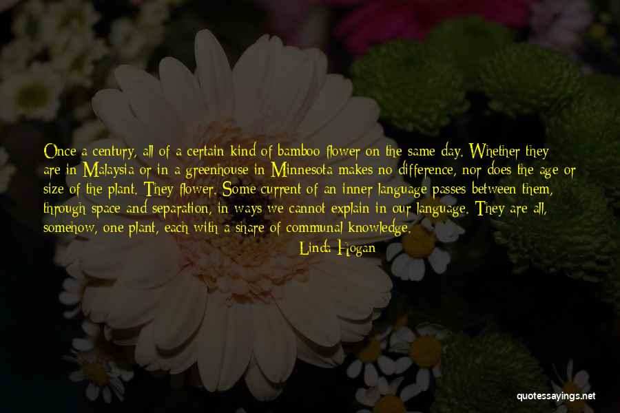 Zheng Liang Feng Quotes By Linda Hogan Zheng Liang Feng Quotes By Linda Hogan