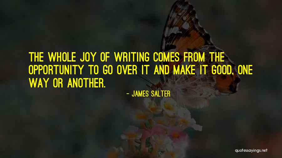 Zhimon Quotes By James Salter Zhimon Quotes By James Salter