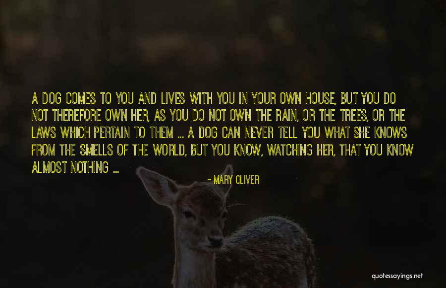 Zhitomir Jewish Records Quotes By Mary Oliver Zhitomir Jewish Records Quotes By Mary Oliver