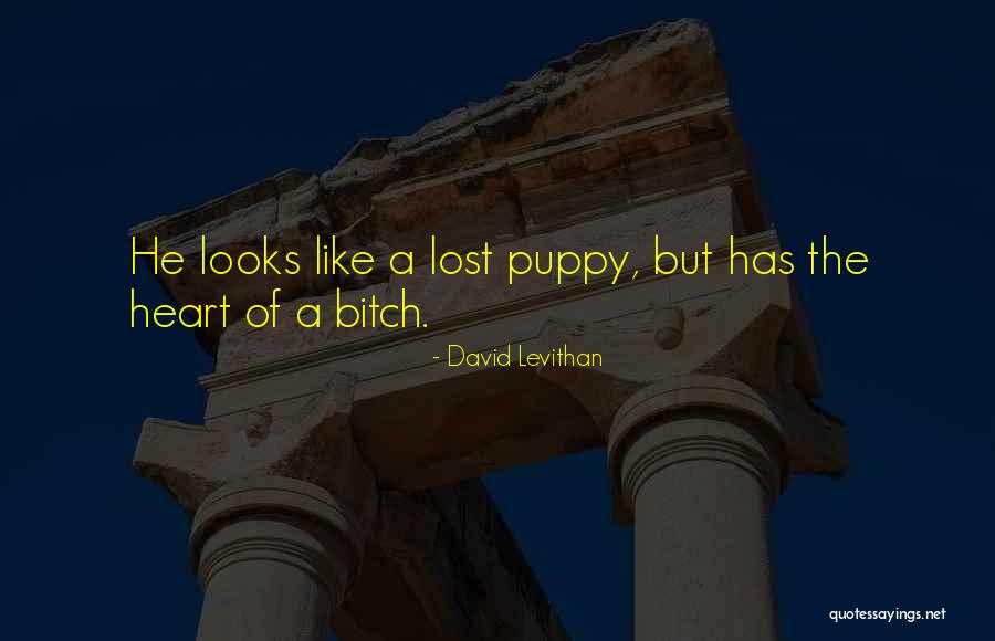 Zhozef Shkrimtar Quotes By David Levithan Zhozef Shkrimtar Quotes By David Levithan