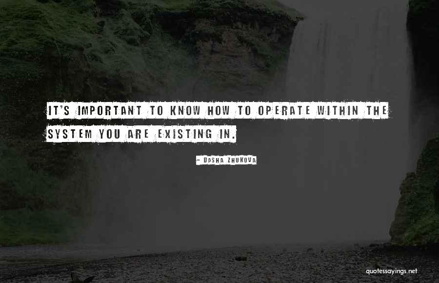 Zhukova Quotes By Dasha Zhukova Zhukova Quotes By Dasha Zhukova