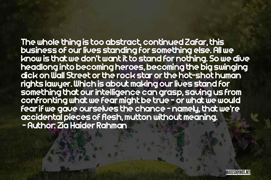 Zia Haider Rahman Quotes 788300